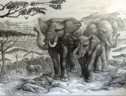 1elephants_drawing-wall